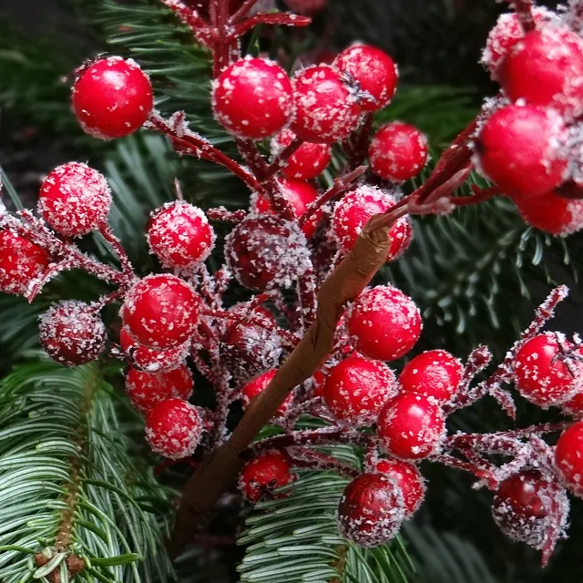 Julestemning