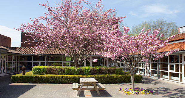 Vallensbæk Sognegård