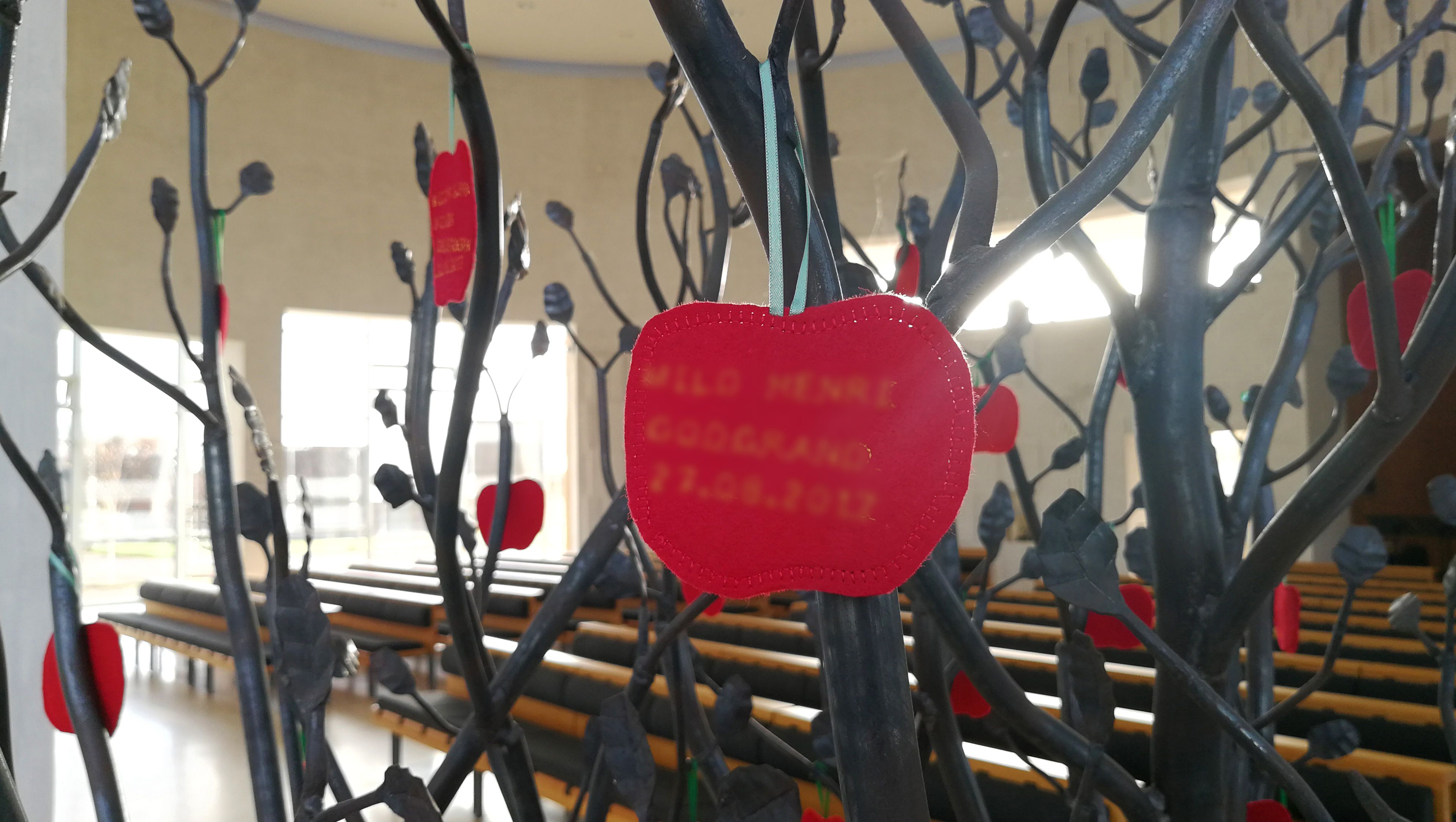 Æbletræ i Helligtrekongers Kirke